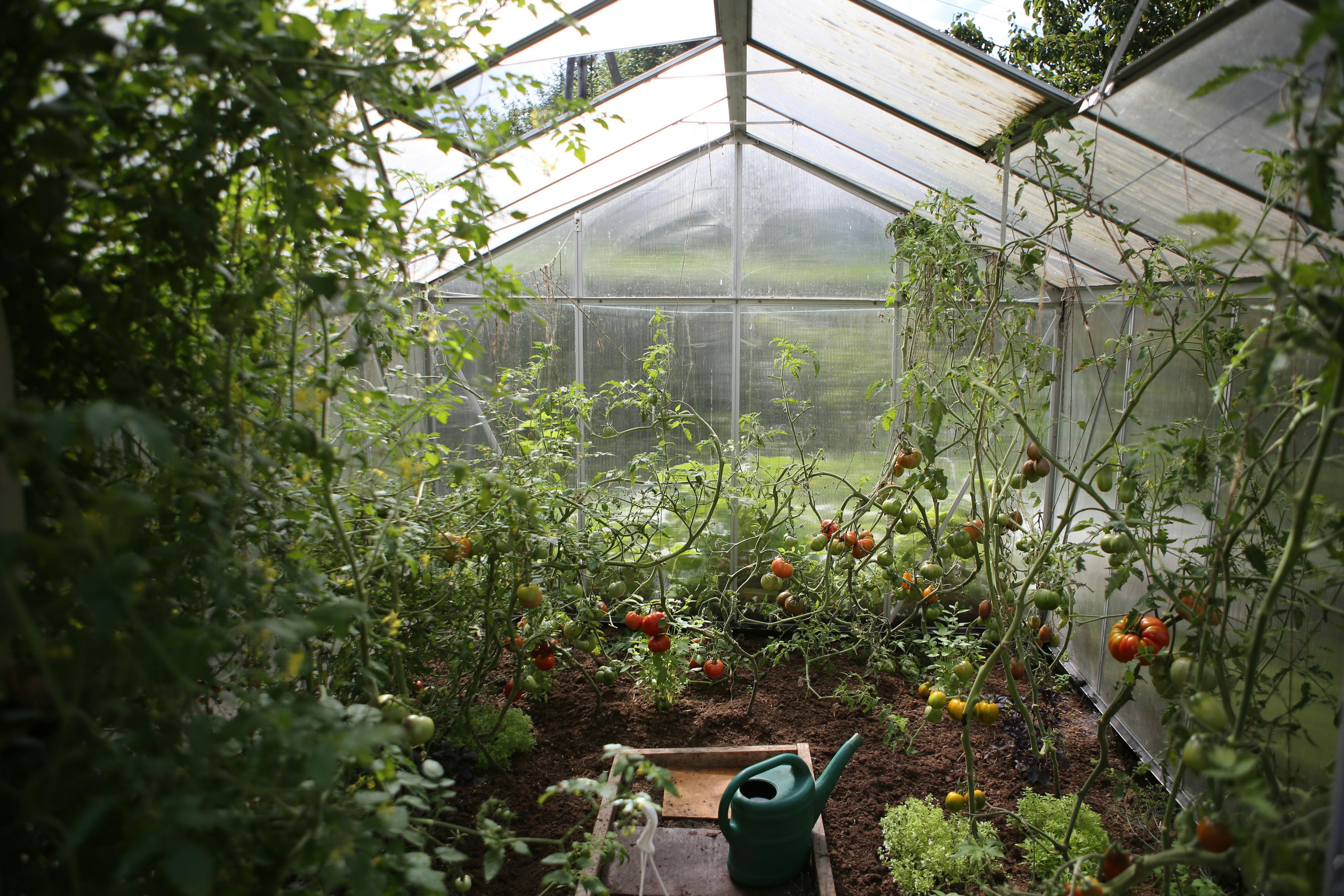 Landscape installation with irrigation and lighting systems
